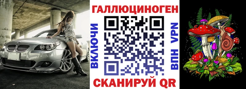 Псилоцибиновые грибы GOLDEN TEACHER  продажа наркотиков  Хасавюрт 